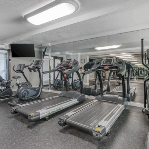 A gym with treadmills, exercise bikes, an elliptical trainer, a wall mirror, and a TV.